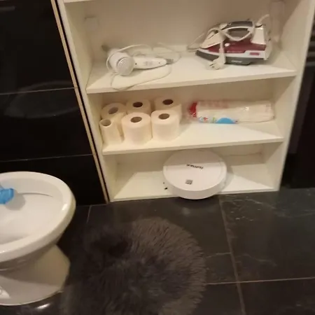 Διαμέρισμα Golden House *