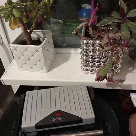 Golden House דירה