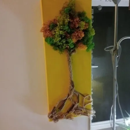 דירה Golden House קלוז'-נאפוקה