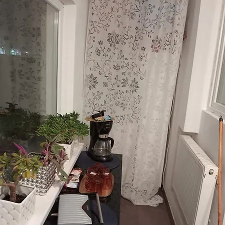 Golden House קלוז'-נאפוקה