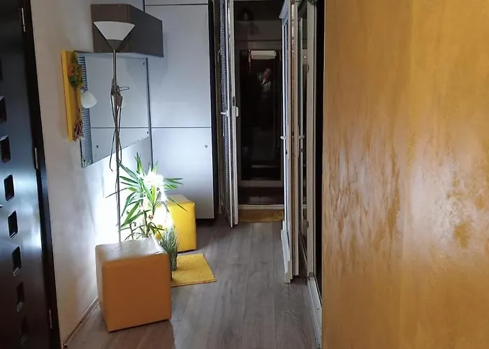 Golden House Appartamento Cluj-Napoca