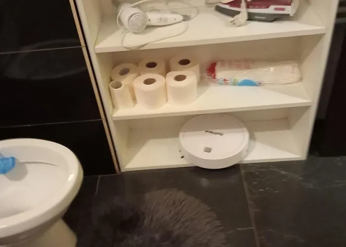 Διαμέρισμα Golden House *