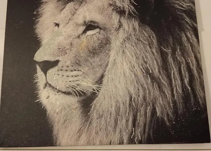 Golden House Κλουζ-Ναπόκα