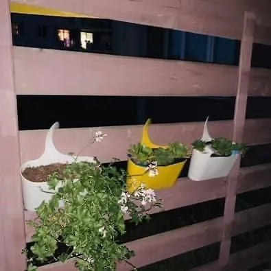 Διαμέρισμα Golden House Κλουζ-Ναπόκα