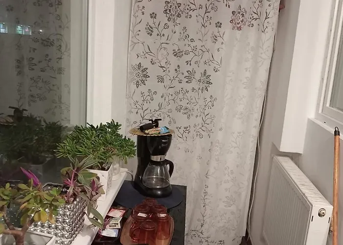 Golden House Cluj-Napoca